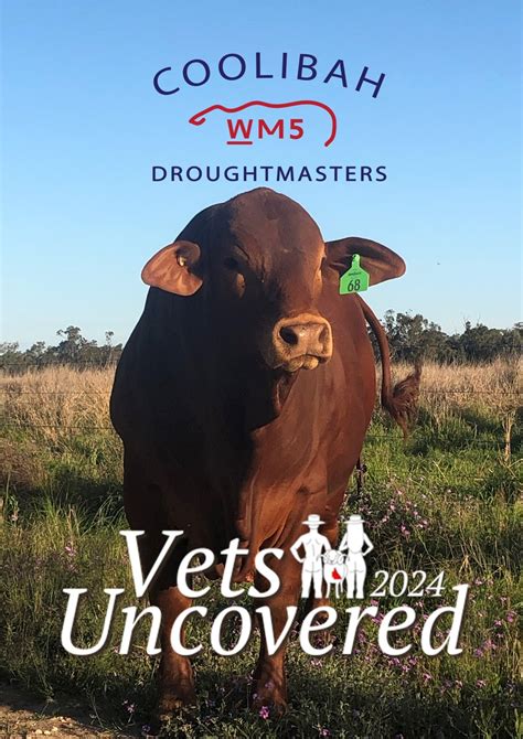 vets uncovered 2024|Vets Uncovered 2024 Behind The Scenes .